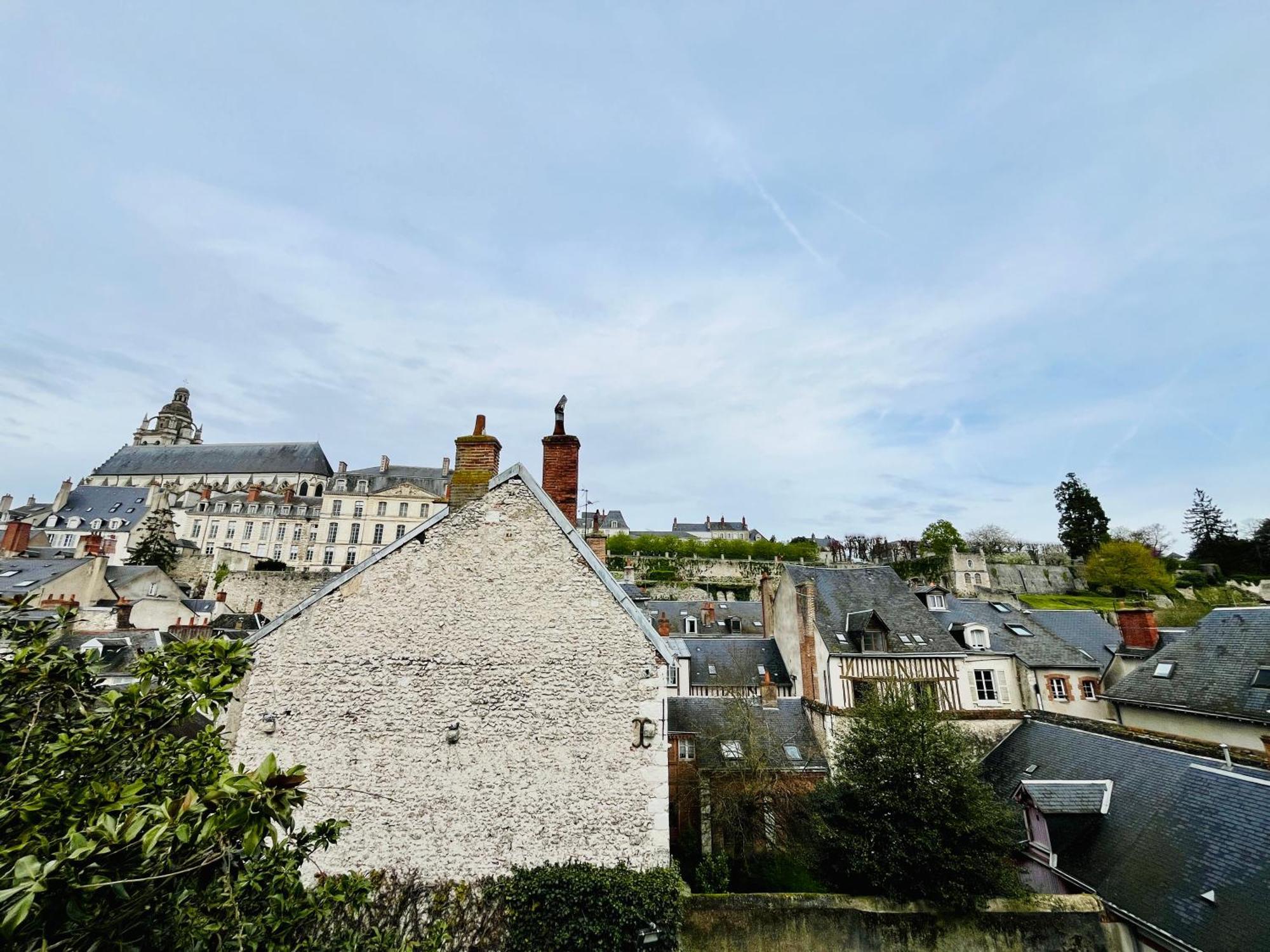 블루아 Vue Loire, Hypercentre, Spacieux, Familial, Climatise, Le Quai De Loire 아파트 외부 사진